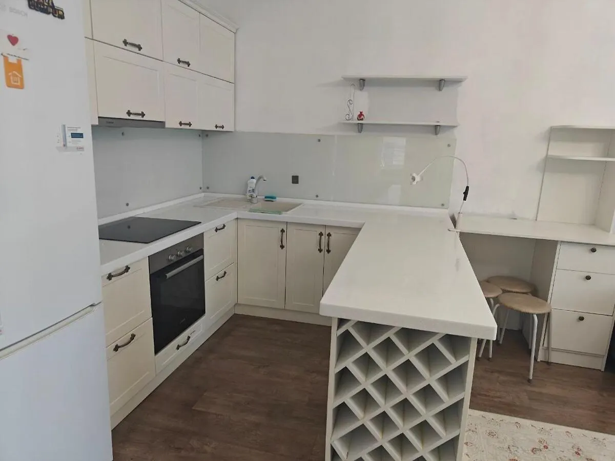 Accommodation In The Center Of Astana With A Terrace Астана
